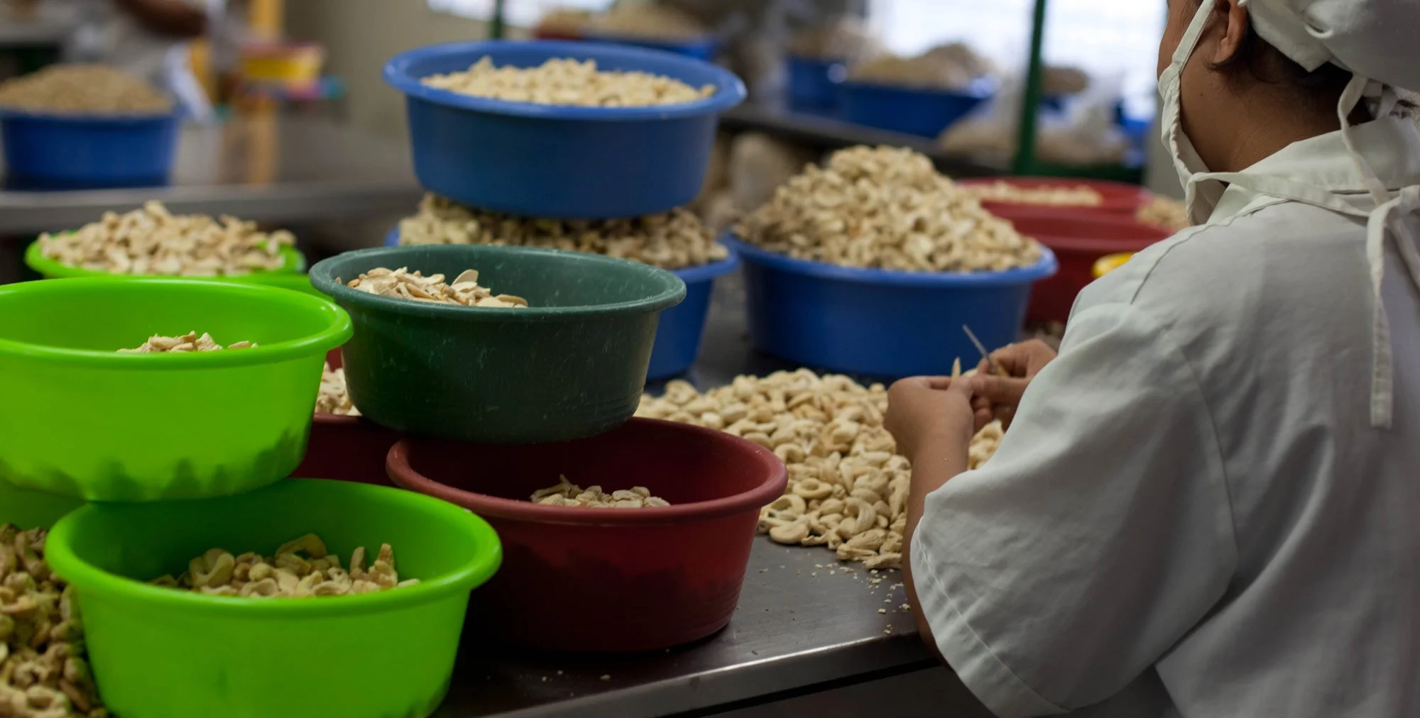 Cashew Ingredients industry insight