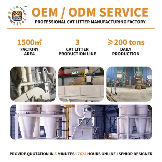 Cat Sand China industry insight