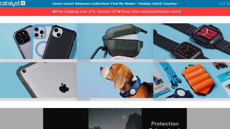 Catalyst Case