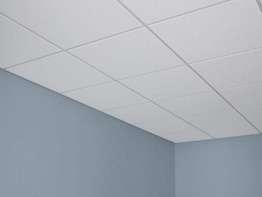 Ceilings & Specialty Acoustical Products