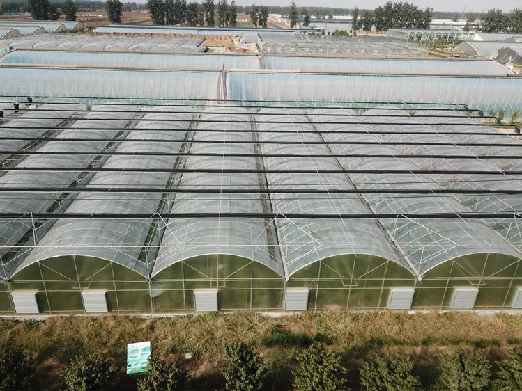 Cheap Greenhouse From China industry insight