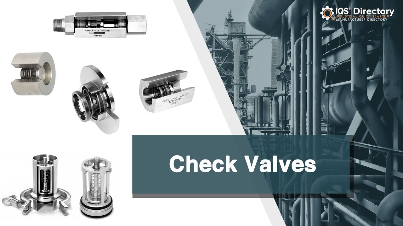 Check Valve industry insight