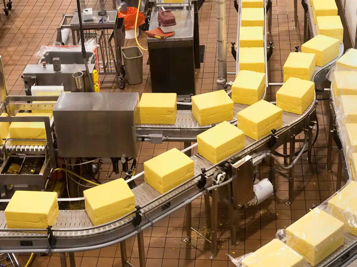 Cheese industry insight