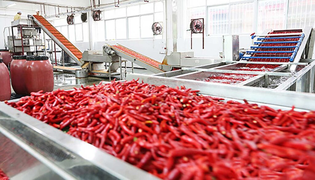 Chili Powder industry insight