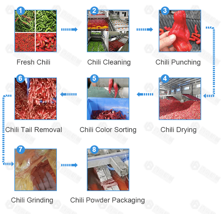 Chili Powder industry insight