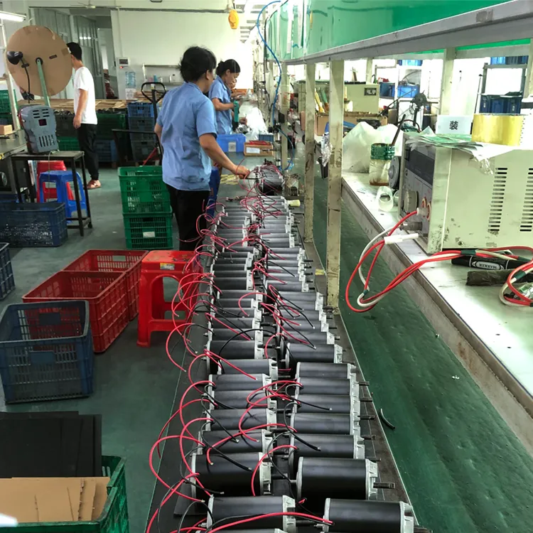 China 12V Dc Motor industry insight