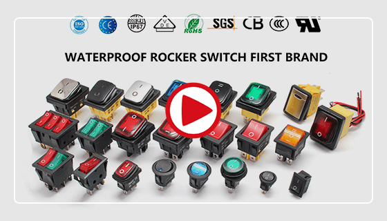 China 12V Lighted Rocker Switch industry insight