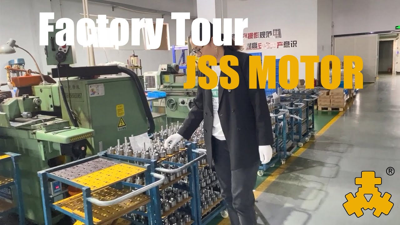 China 2 Phase Stepper Motor industry insight