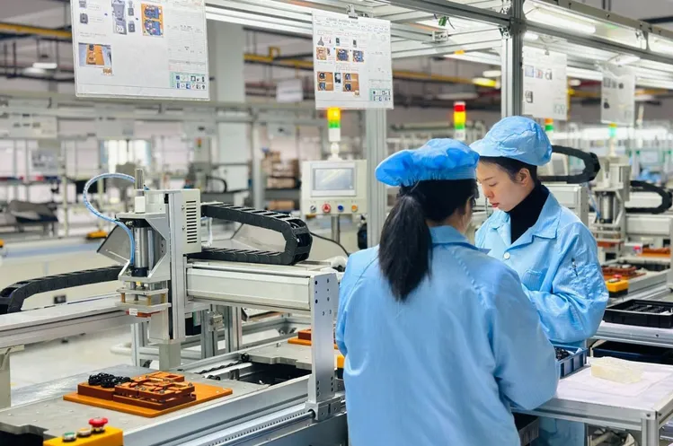 China 2 Pole Rocker Switch industry insight