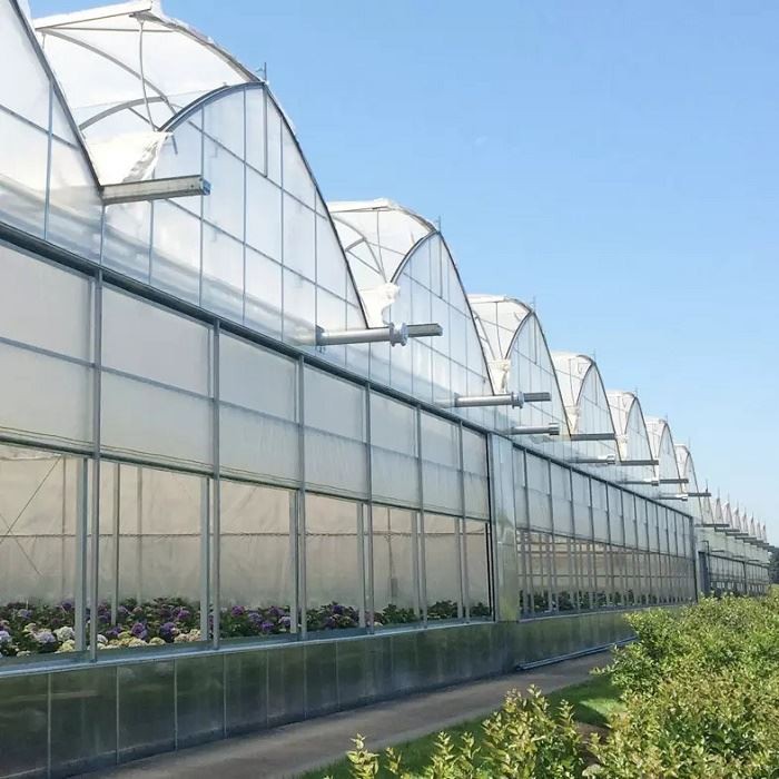 China 2024 Sawtooth Greenhouse industry insight