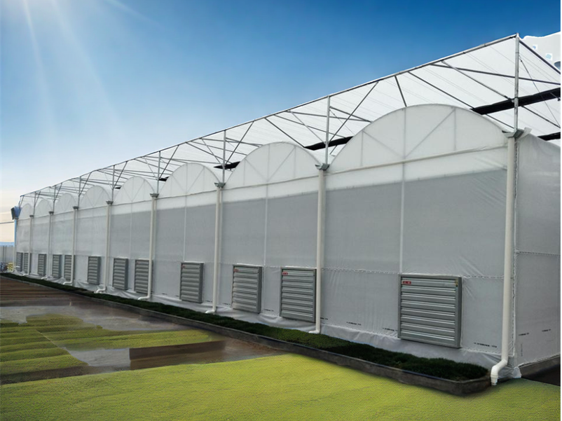 China 2024 Sawtooth Greenhouse industry insight