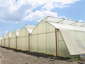 China 2024 Sawtooth Greenhouse industry insight