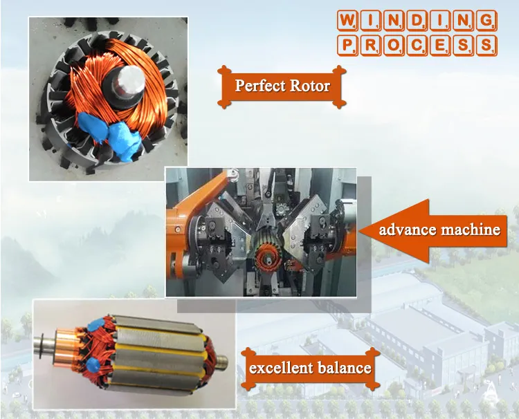 China 24V 500W Motor industry insight