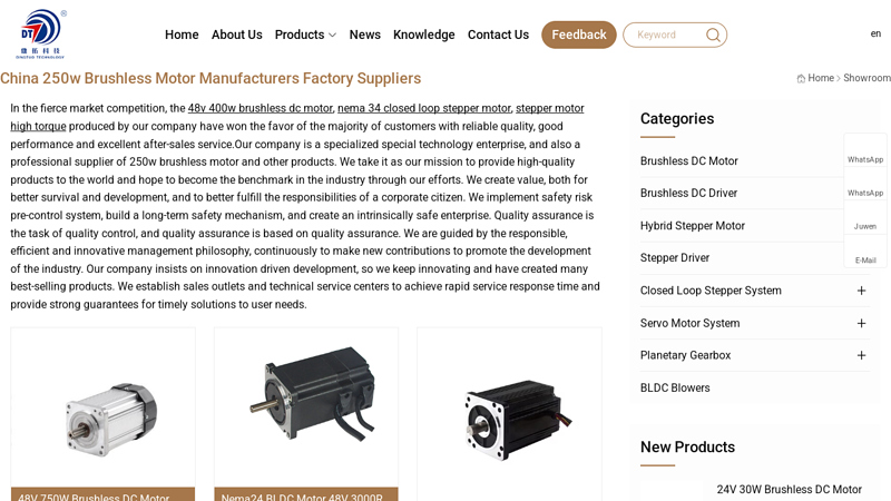 China 250w brushless motor Manufacturers Factory Suppliers