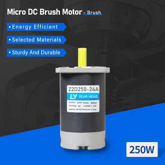 China 250W Dc Motor industry insight