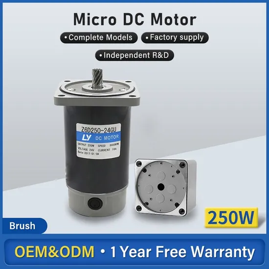 China 250W Dc Motor industry insight