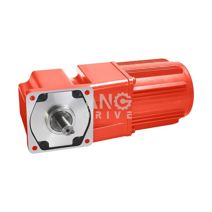 China 250W Gear Motor industry insight