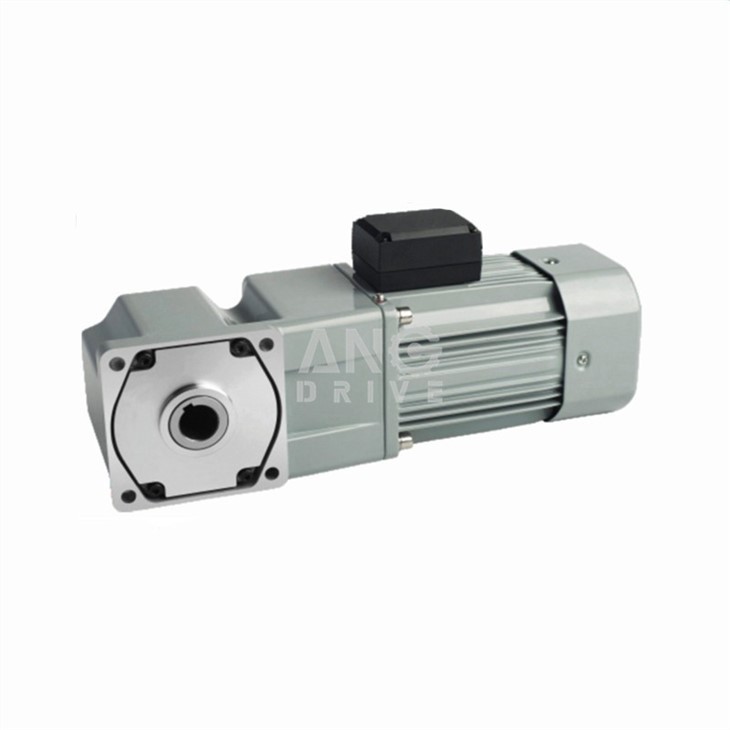China 250W Gear Motor industry insight