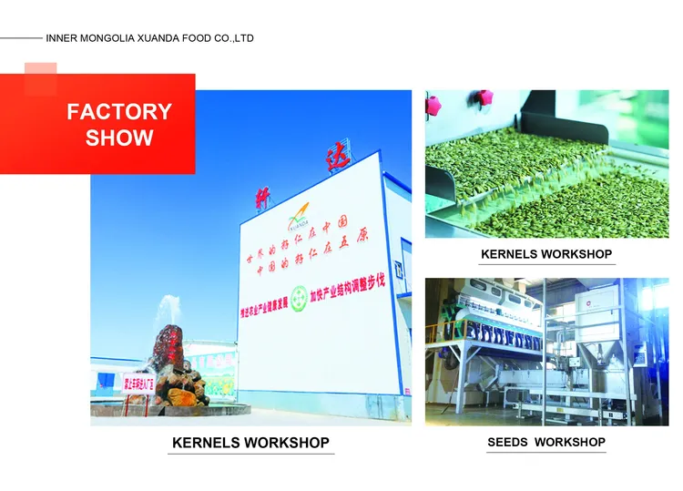 China 363 Sunflower Seeds industry insight