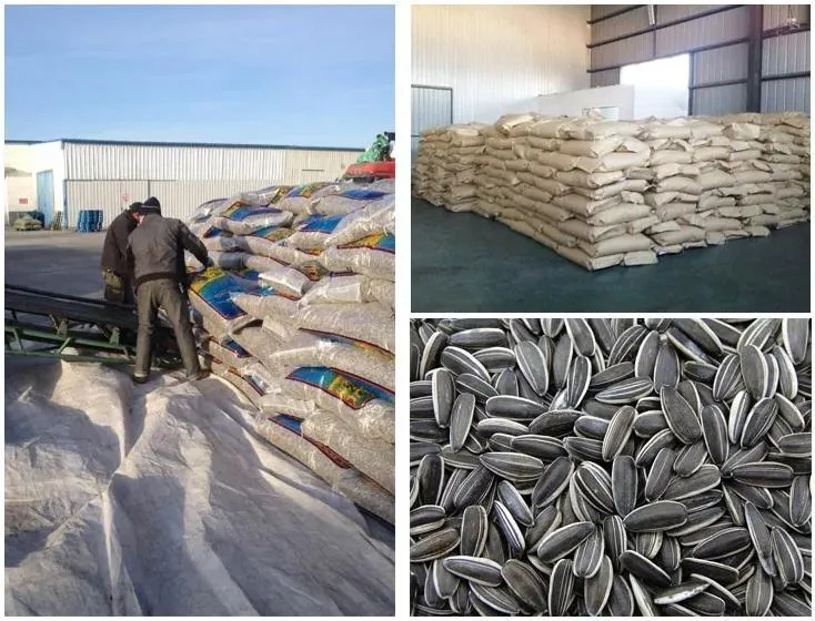 China 363 Sunflower Seeds industry insight