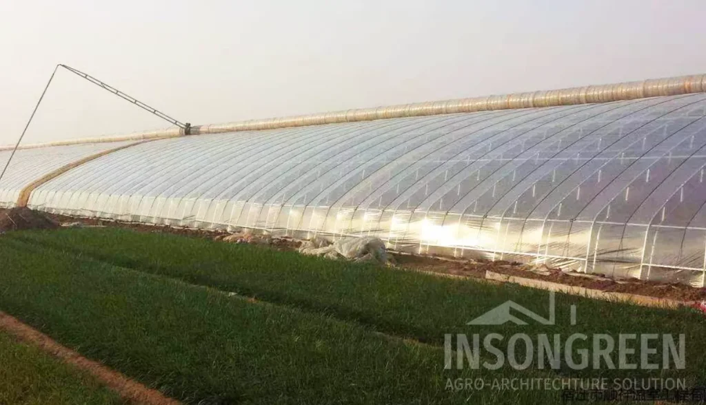 China 4 Seasons Greenhouse industry insight