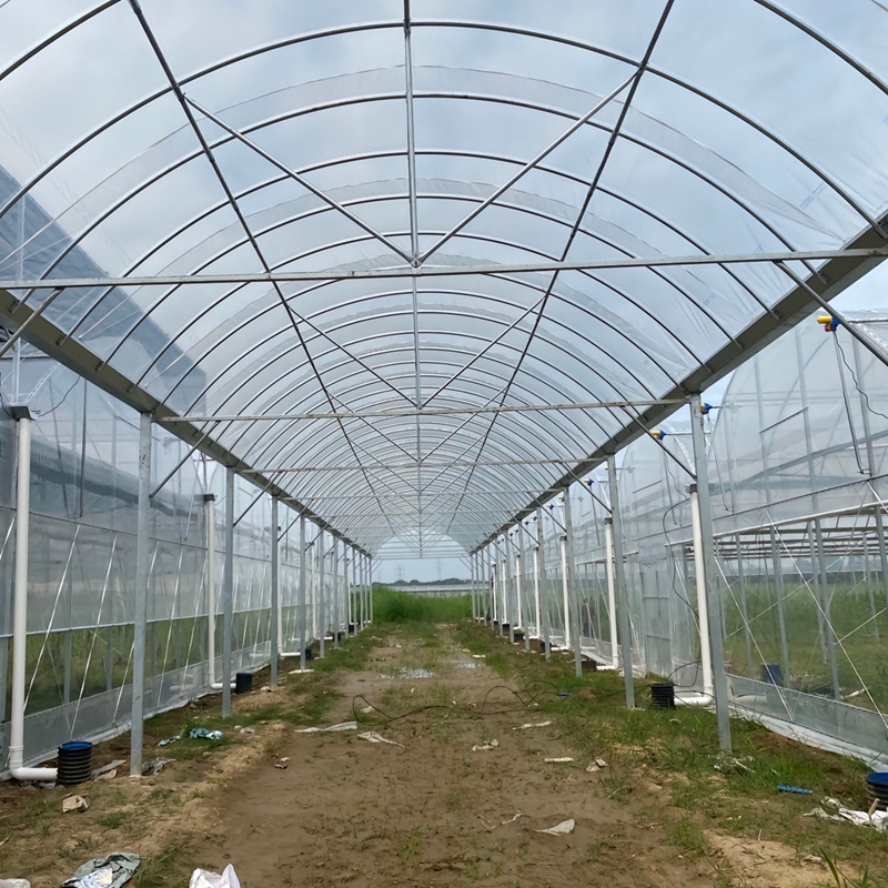 China 4 Seasons Greenhouse industry insight