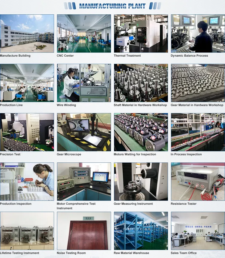China 500W Dc Motor industry insight