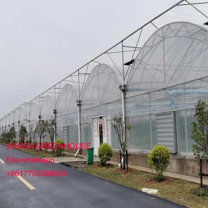China Agro Greenhouses Suppliers, Manufacturers, Factory