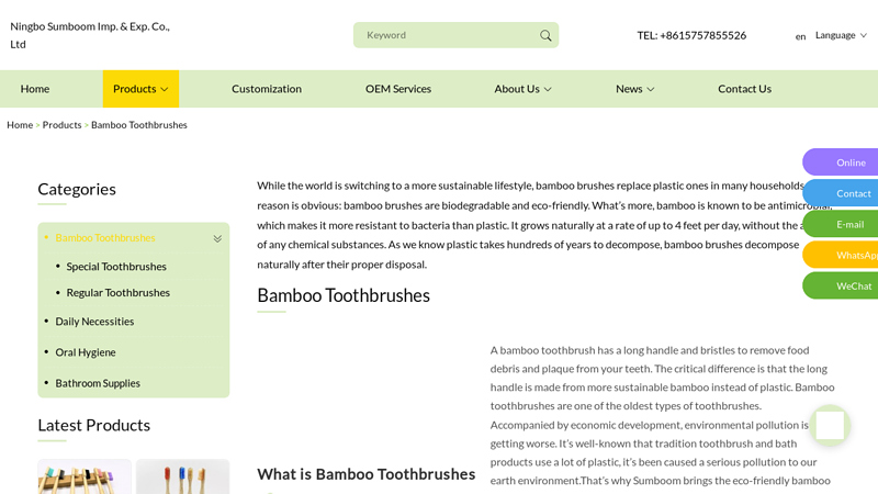 China Bamboo Toothbrushes Suppliers, Manufacturers, Factory