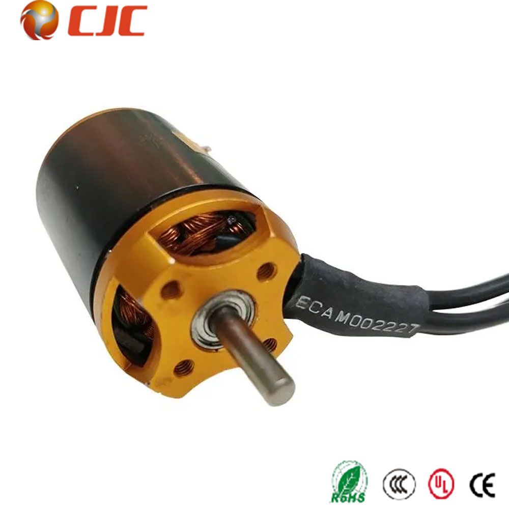 China Bldc Electric Motor Manufacturer and Supplier, Factory