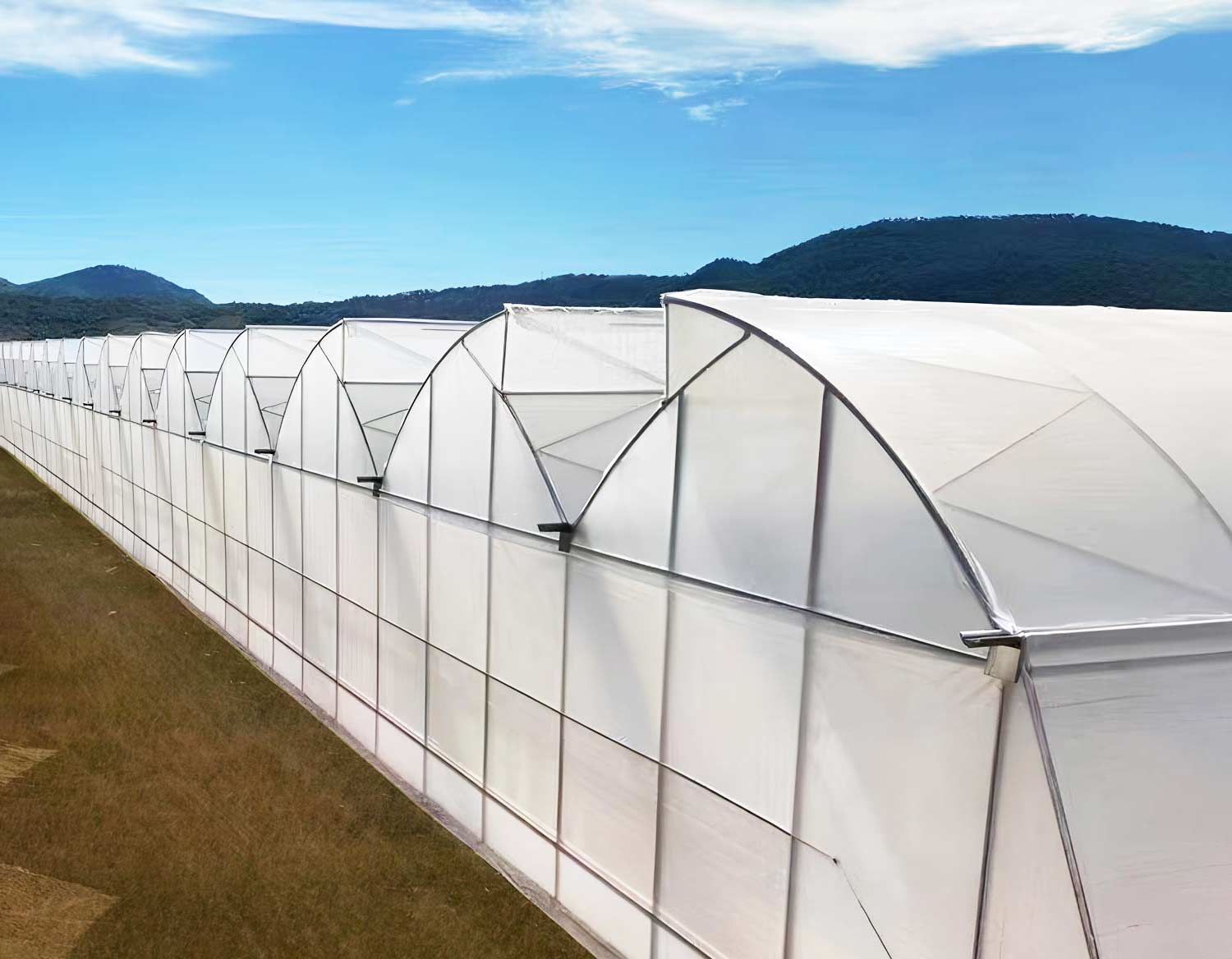 China Sawtooth Greenhouse Manufacturer