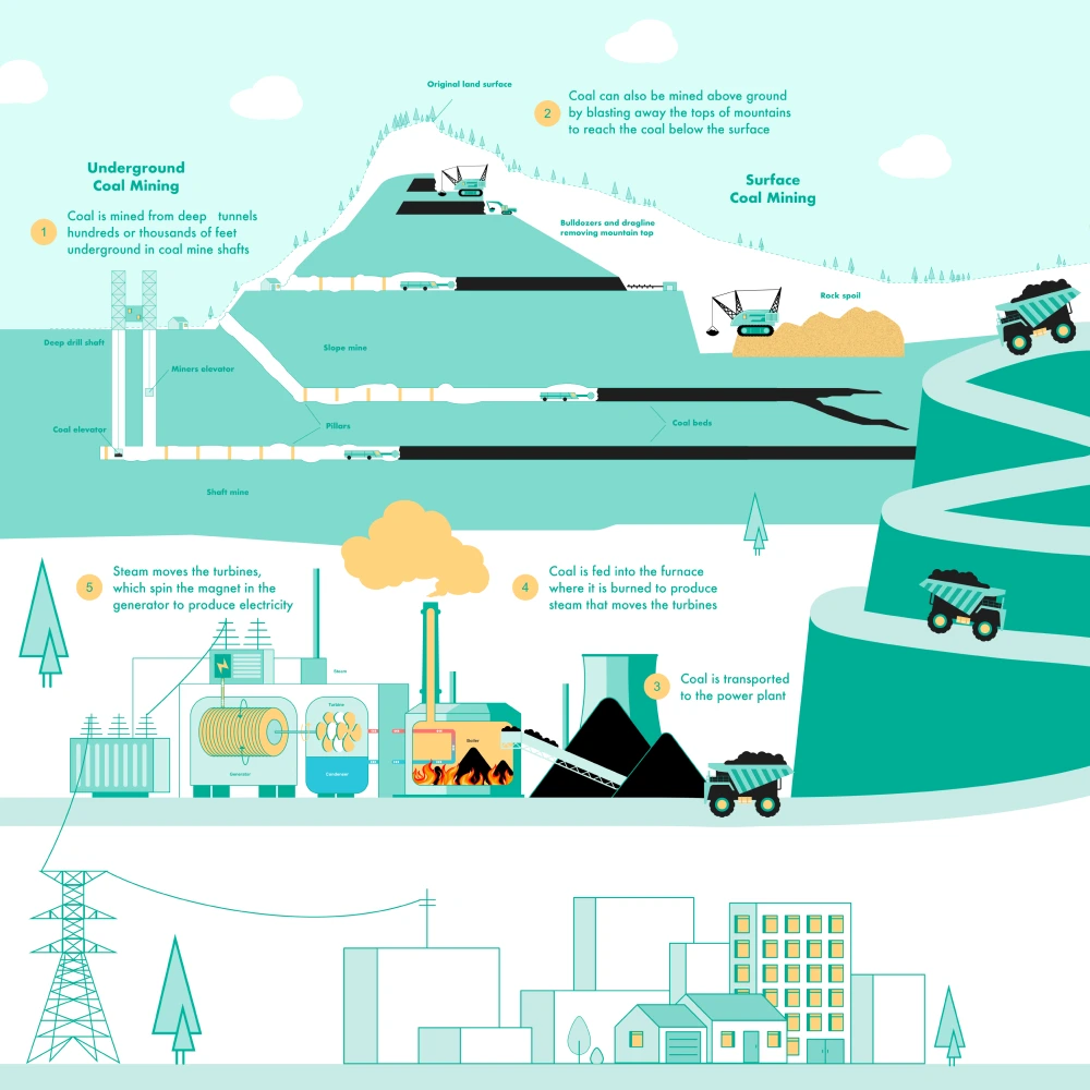 Coal industry insight
