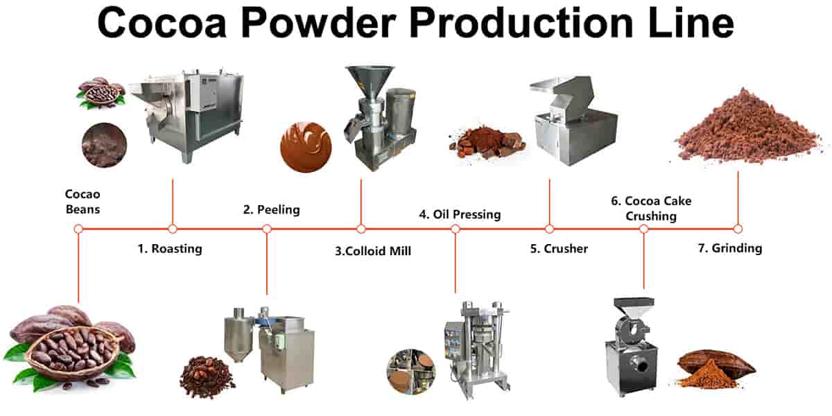 Cocoa Powder industry insight