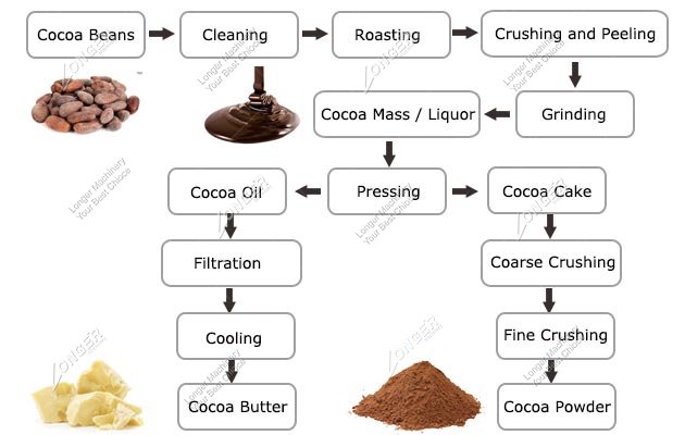 Cocoa Powder industry insight