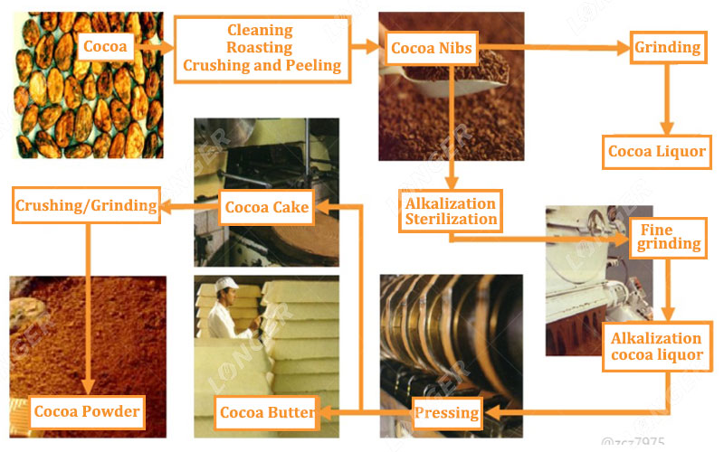 Cocoa Powder industry insight