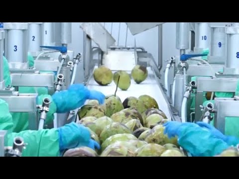 Coconut Milk Thailand industry insight