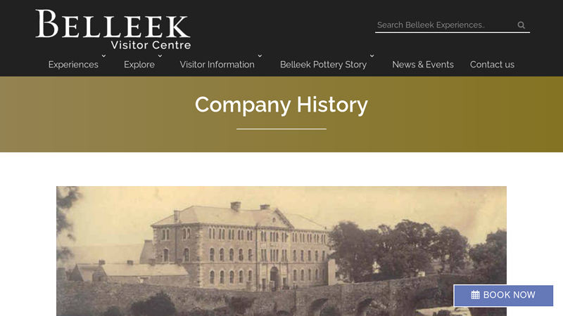 Company History