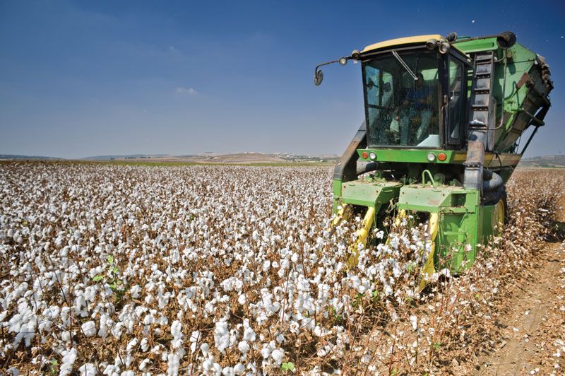 Cotton Tooling