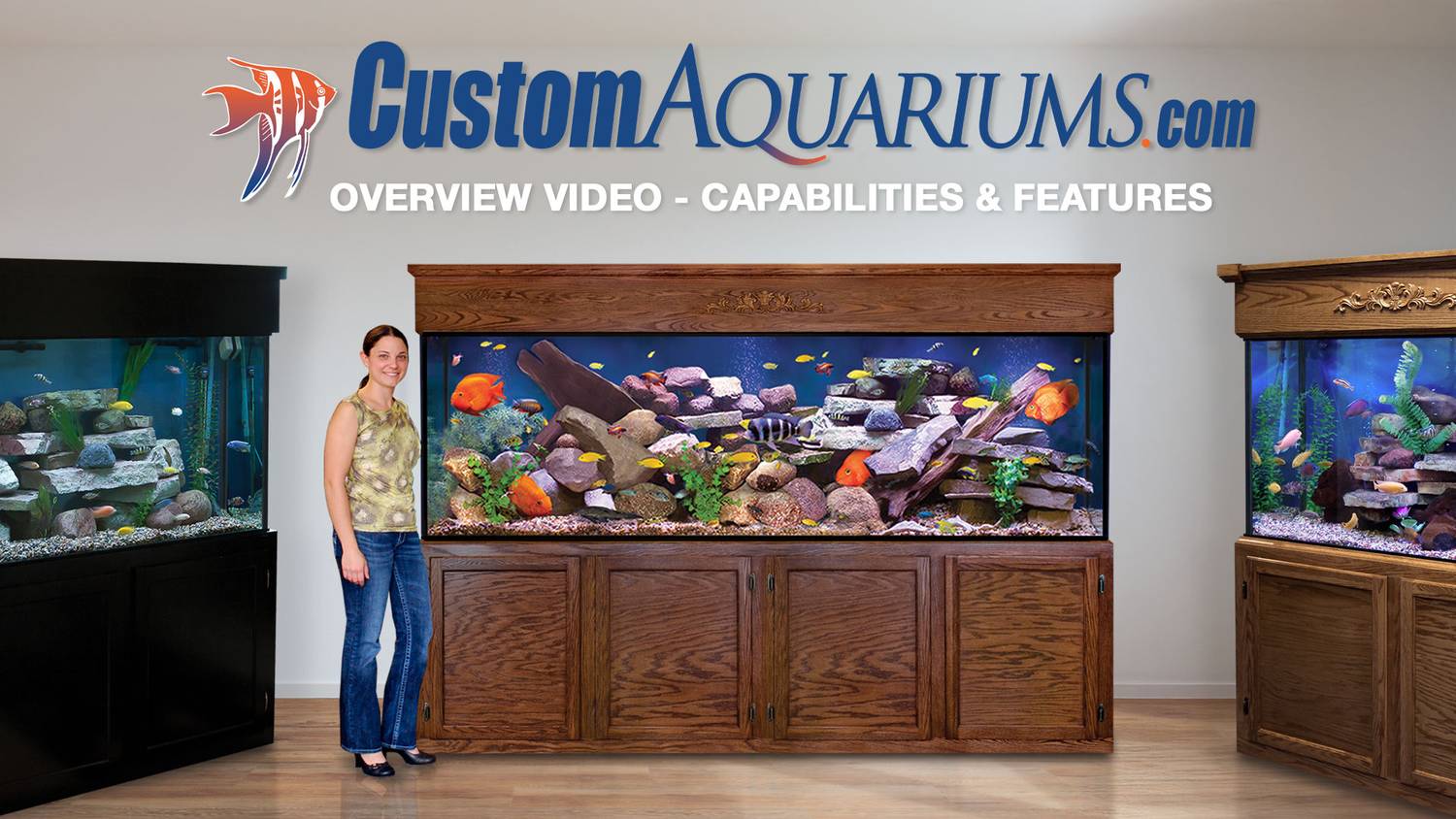 Custom Aquariums, Glass Fish Tanks, DIY Aquariums, Saltwater ...