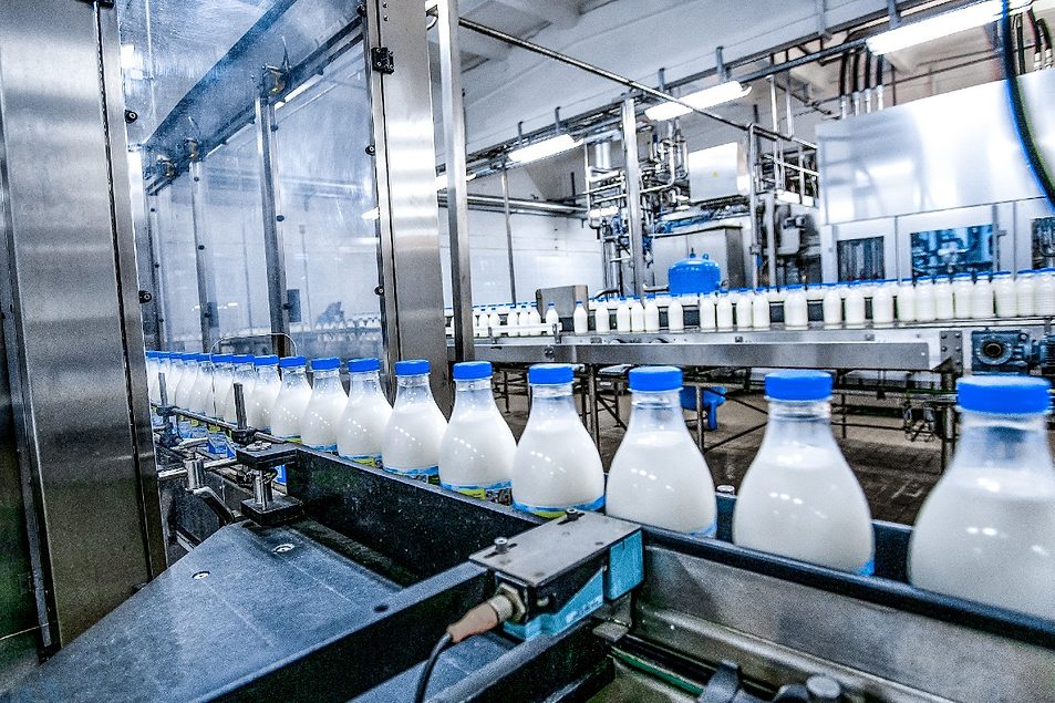 Dairy industry insight