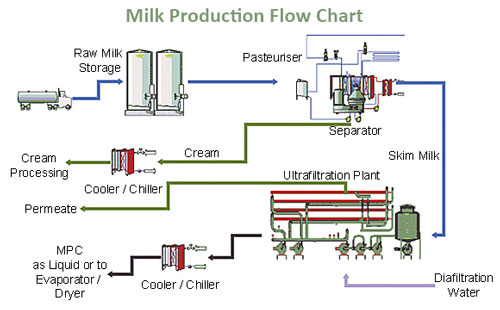 Dairy industry insight