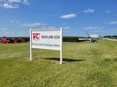 Dairyland Seed