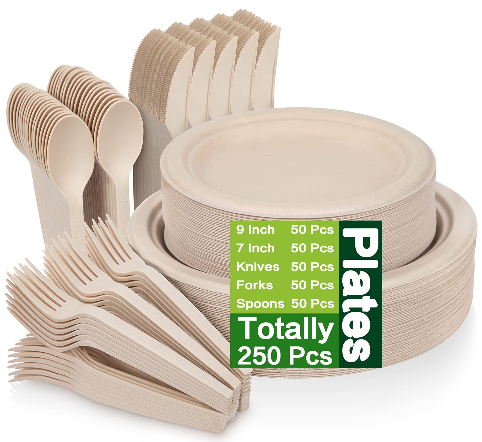 Disposable Eco Friendly Dinnerware