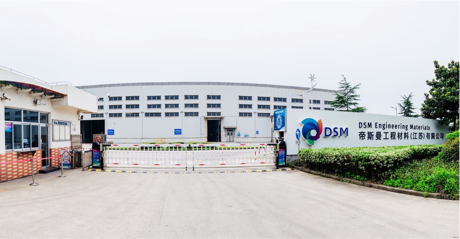 DSM