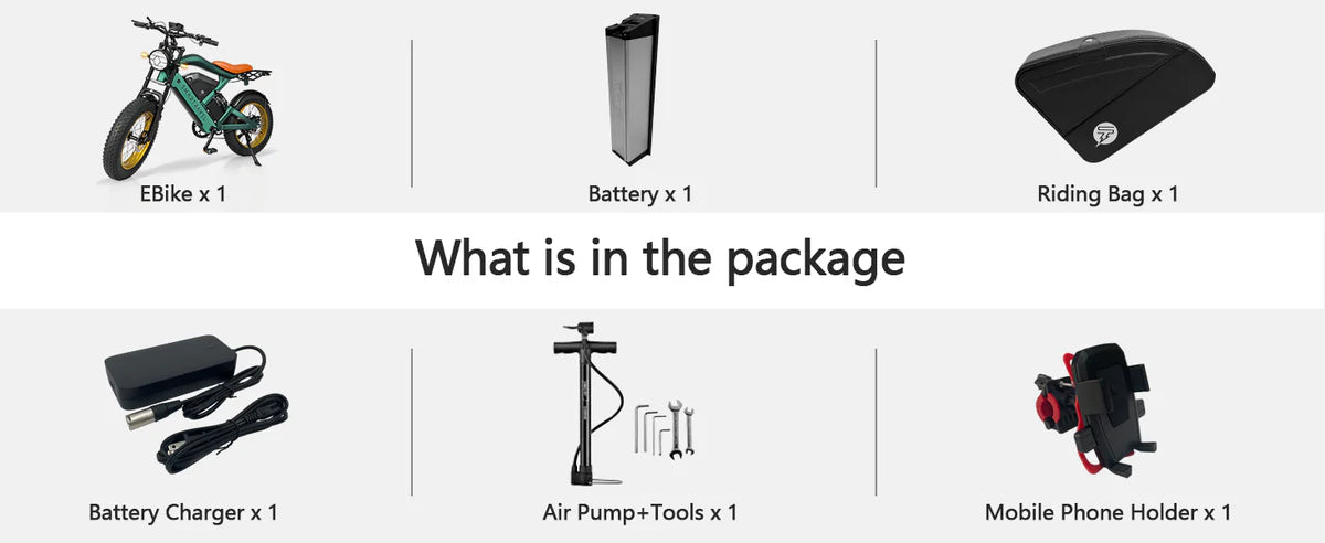Illustrative example of ebike from Google Search