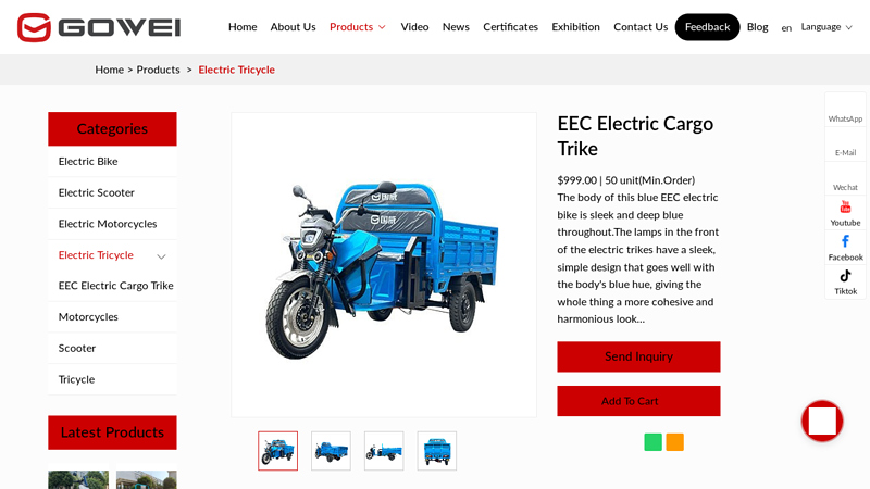 EEC Electric Cargo Trike