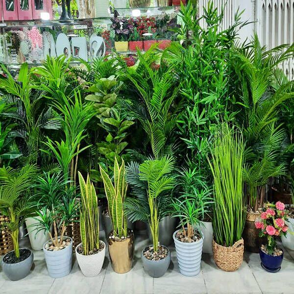 Factory Supplier in China