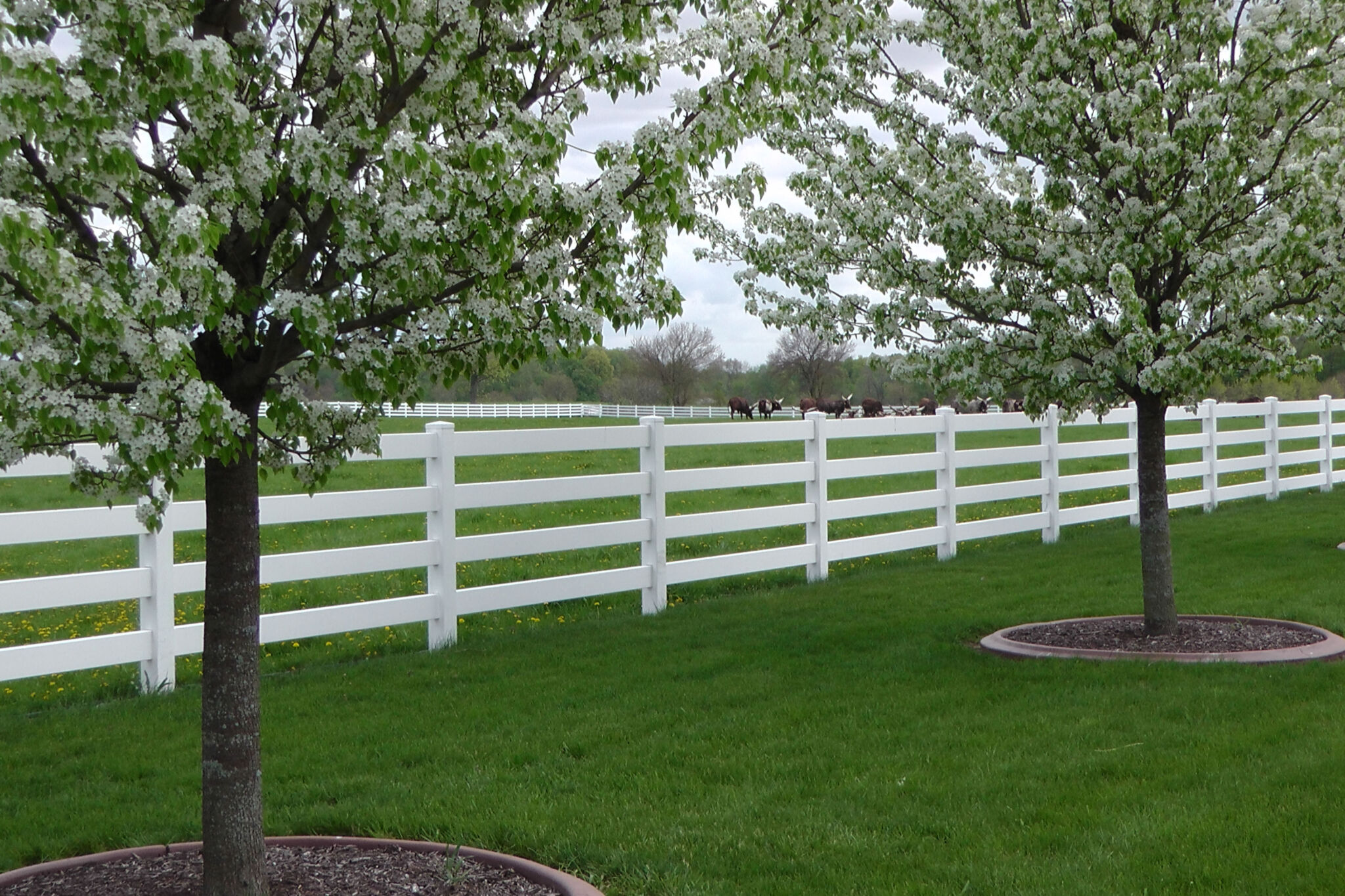 Fence & Railing