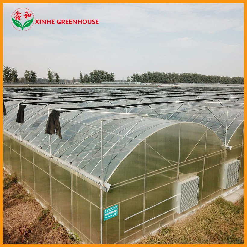 Film Greenhouse