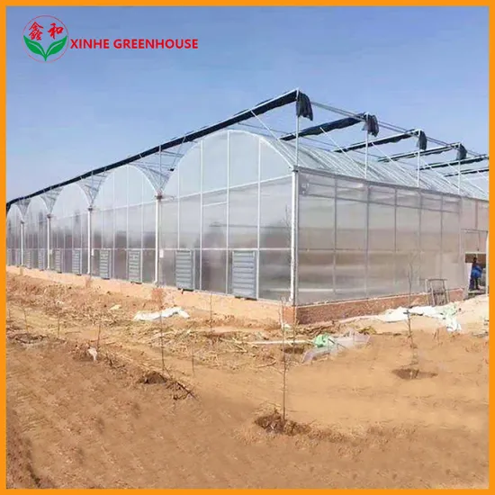Film Greenhouse